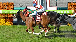 フィリーズレビューのサムネイル