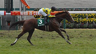 愛知杯のサムネイル