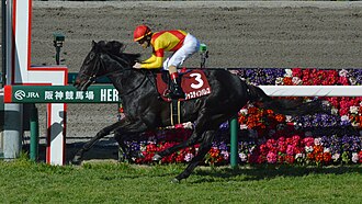 阪神大賞典のサムネイル