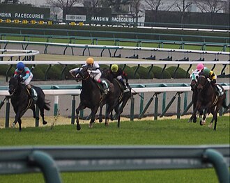 毎日杯のサムネイル