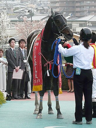 マーチステークスのサムネイル