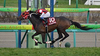 日経賞のサムネイル