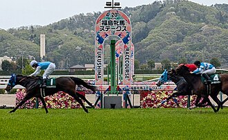 福島牝馬ステークスのサムネイル