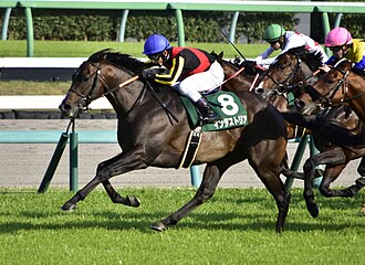 ダービー卿チャレンジトロフィーのサムネイル