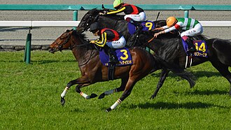 桜花賞のサムネイル