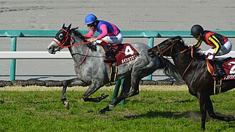 阪神牝馬ステークスのサムネイル