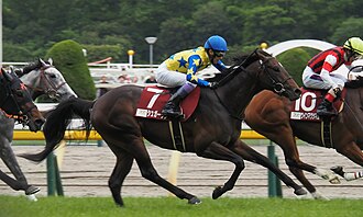 青葉賞のサムネイル