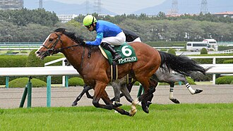 チャーチルダウンズカップのサムネイル