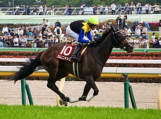 フローラステークスのサムネイル