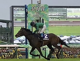 中山グランドジャンプのサムネイル