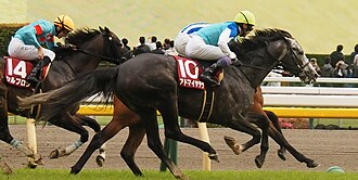 目黒記念のサムネイル
