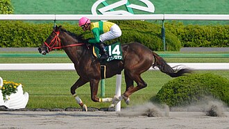 平安ステークスのサムネイル