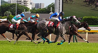 京王杯スプリングカップのサムネイル