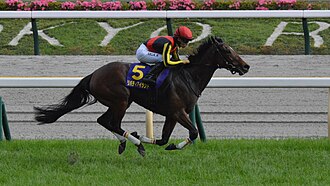 優駿牝馬のサムネイル