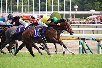 NHKマイルカップのサムネイル