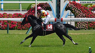 京都ハイジャンプのサムネイル