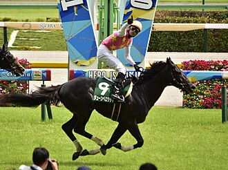 東京ジャンプステークスのサムネイル