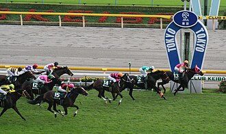 府中牝馬ステークスのサムネイル