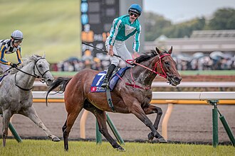 安田記念のサムネイル